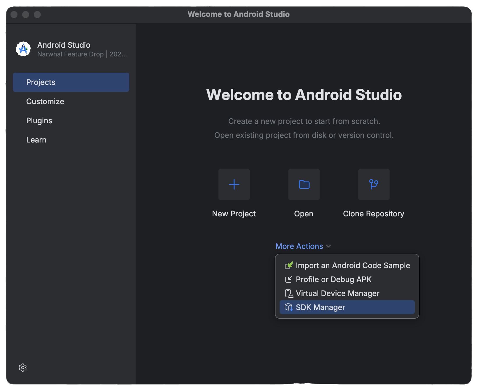 Android SDK Manager