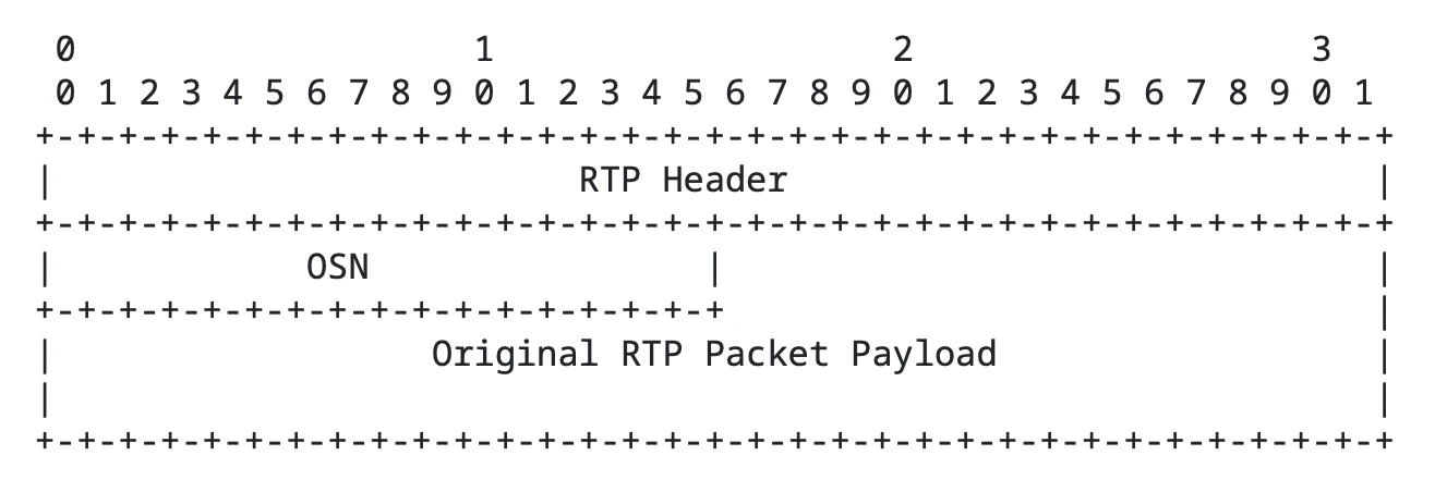 RTX Packet Structure