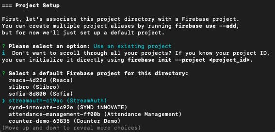 Project Setup screen in terminal