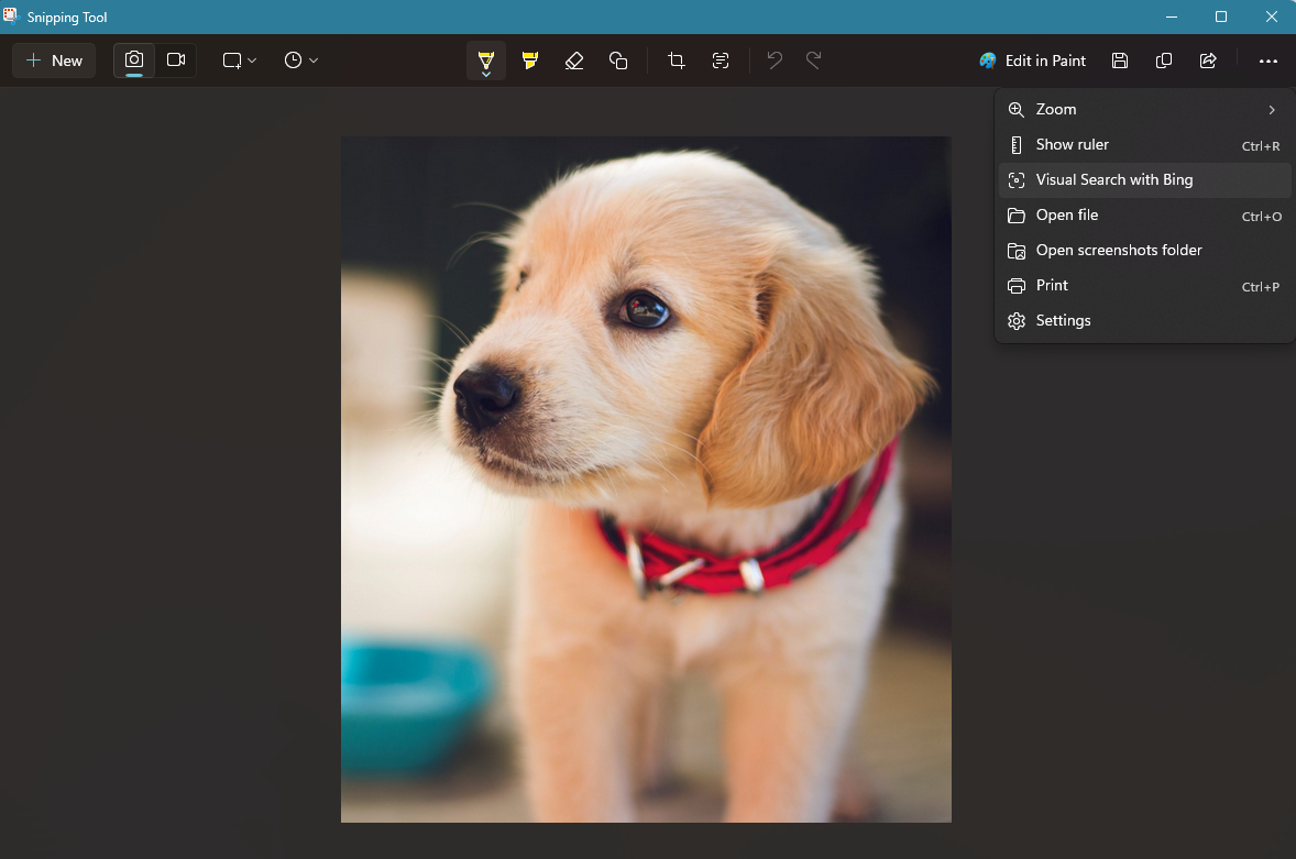A screenshot of the option to perform a Bing visual search with the snipping tool.