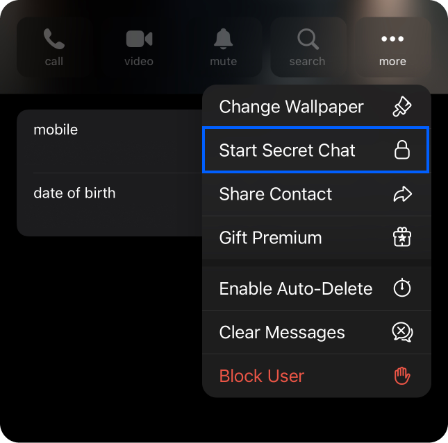 Start secret chat feature in Telegram