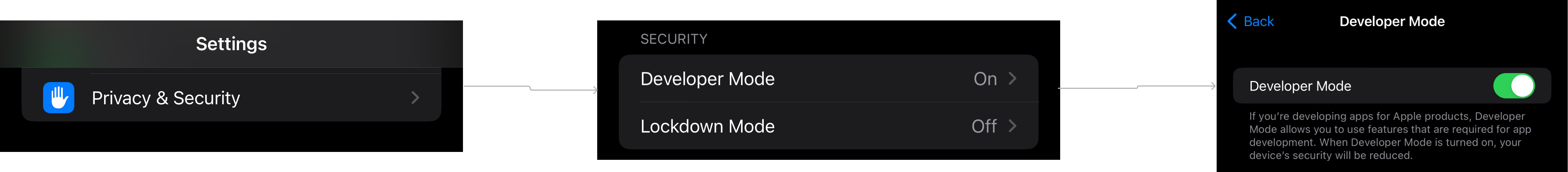 Enable deveper mode in settings on iPhone