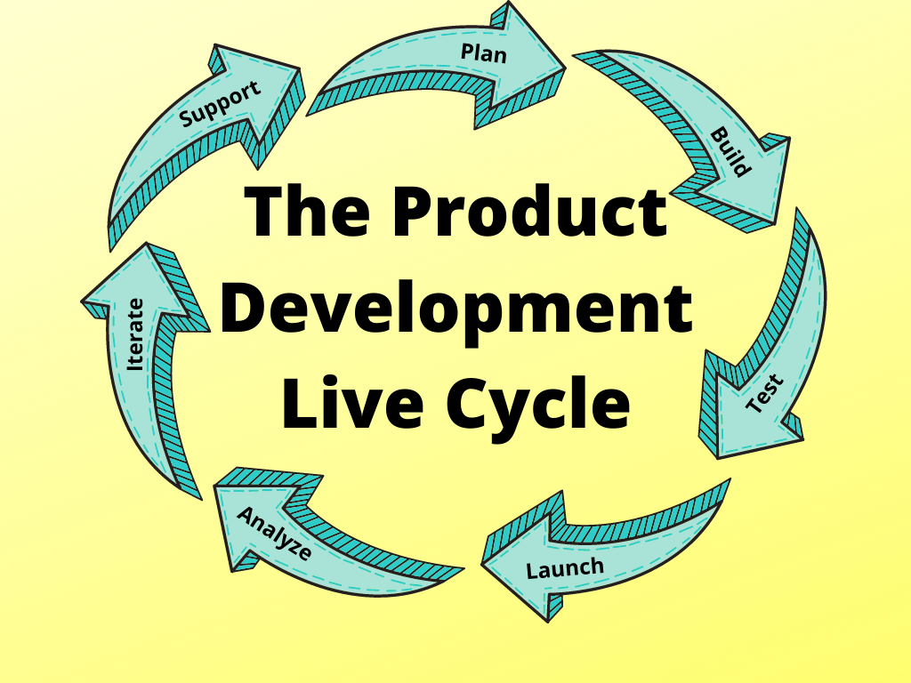 Stages Of Development Life Cycle