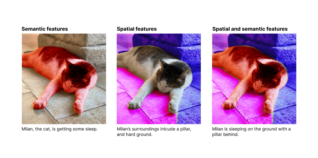 Example of spatial versus semantic features