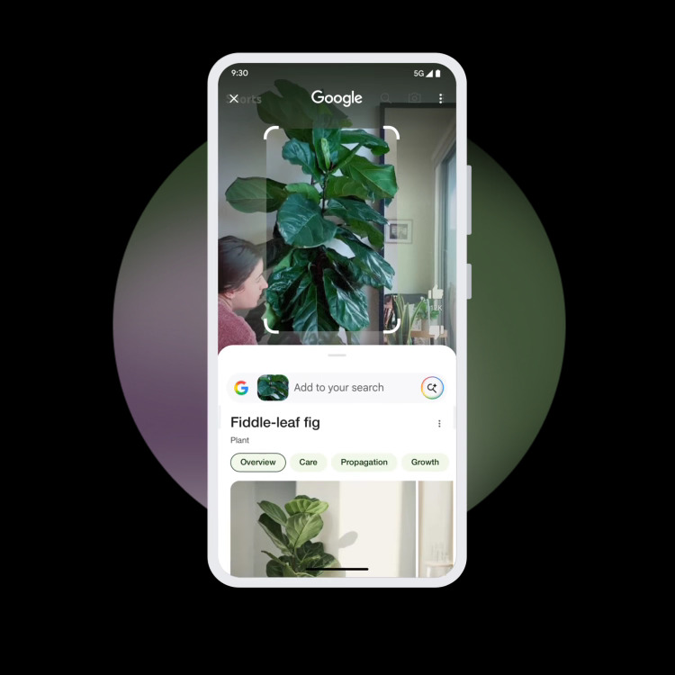 Screenshot of a TikTok video demonstrating the find similar feature