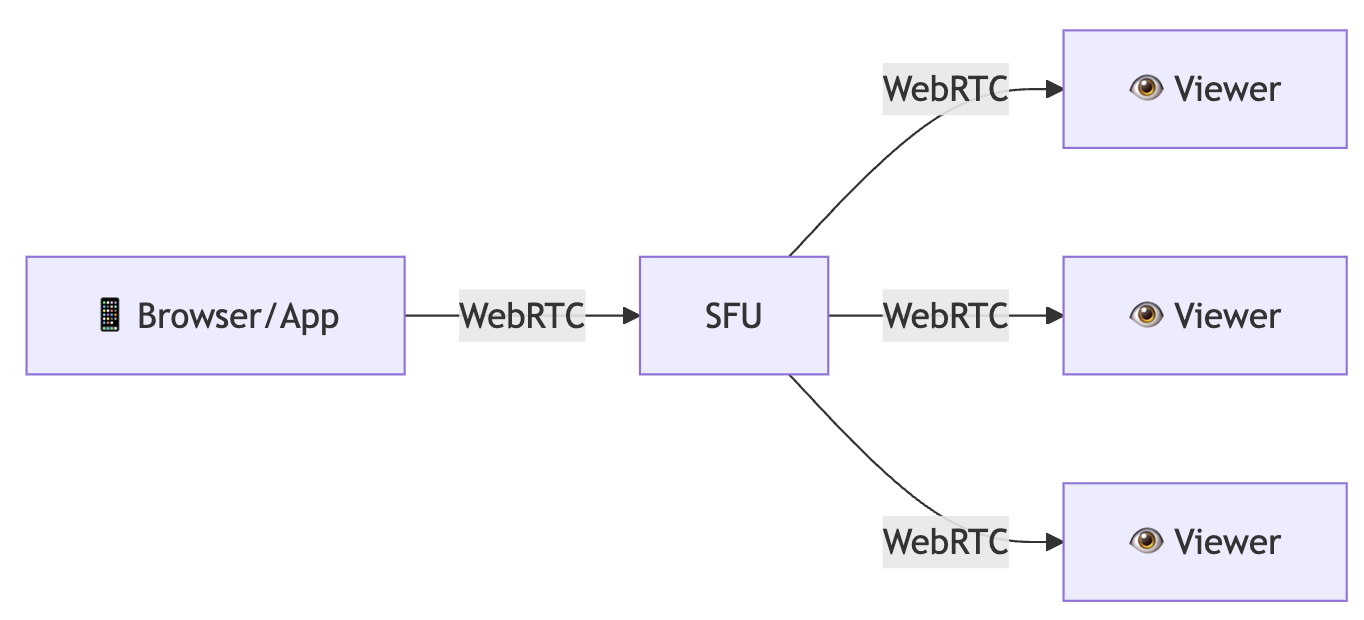 In-App Real-Time: WebRTC End-to-End