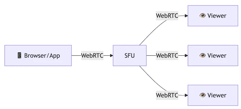 Technical Guide to Live Streaming Infrastructure