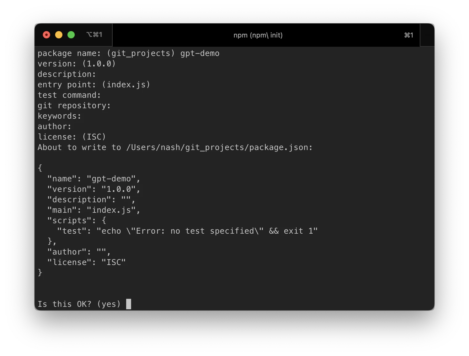 Terminal showing npm init command
