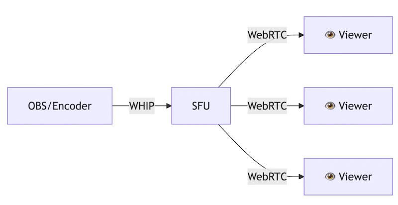 Technical Guide to Live Streaming Infrastructure