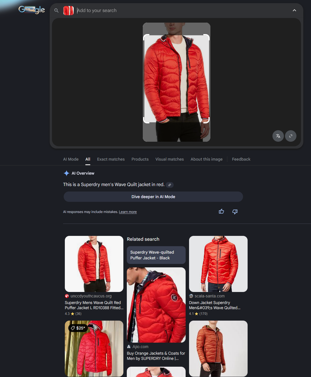 Google Lens identifies a red jacket and displays similar shopping results