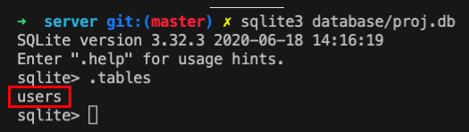 Check users table in SQLite database