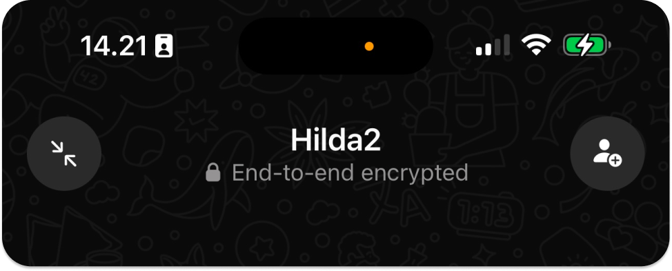 End-to-end encryption in WhatsApp calls