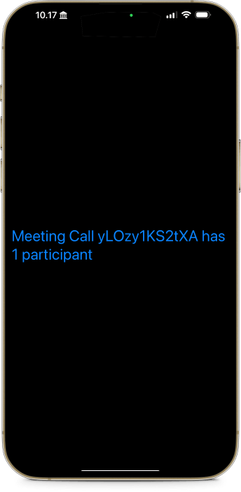Call connection status