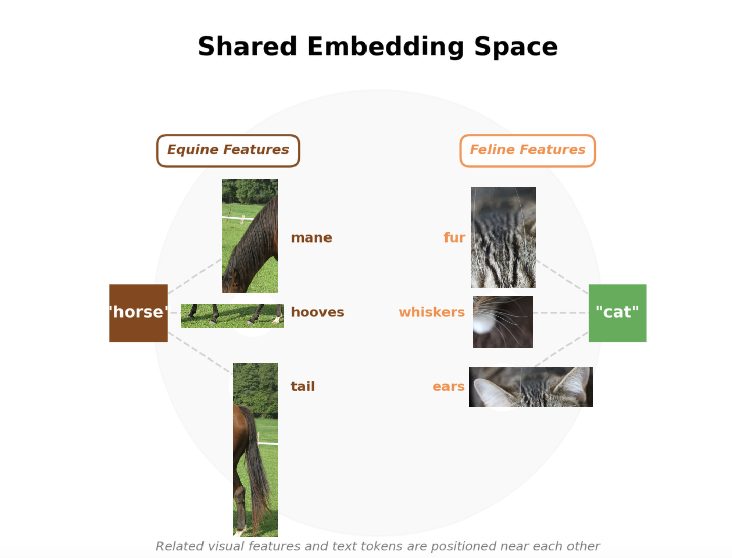 Shared embedding space diagram