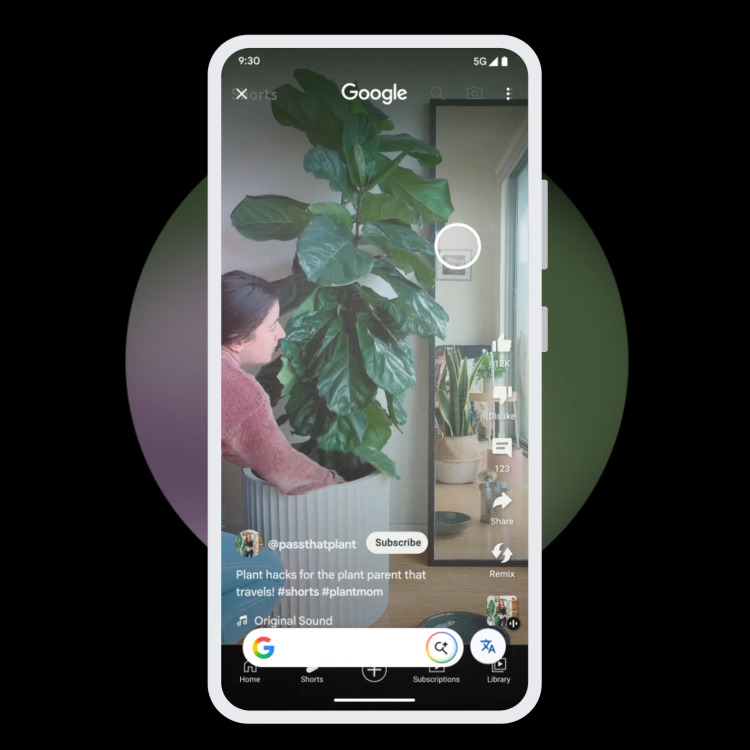 User circles a plant in Google Lens to identify it as a fiddle-leaf fig
