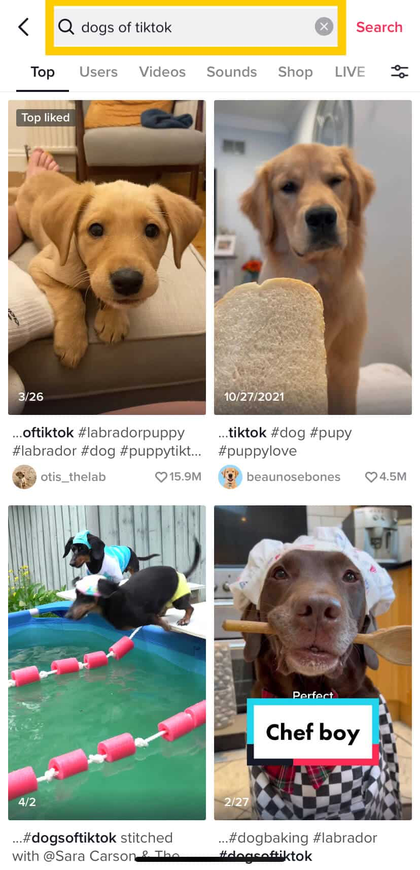 TikTok search screen displaying trending keywords, filters, and user-generated video results