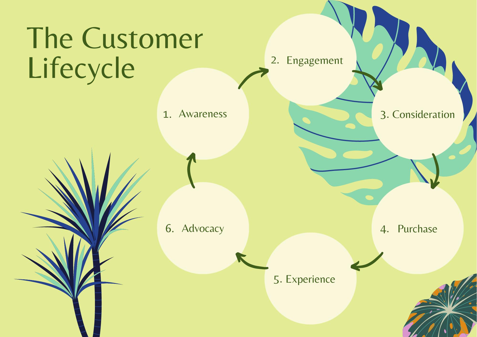 customer life cycle infographic showing 6 stages from awareness to advocacy