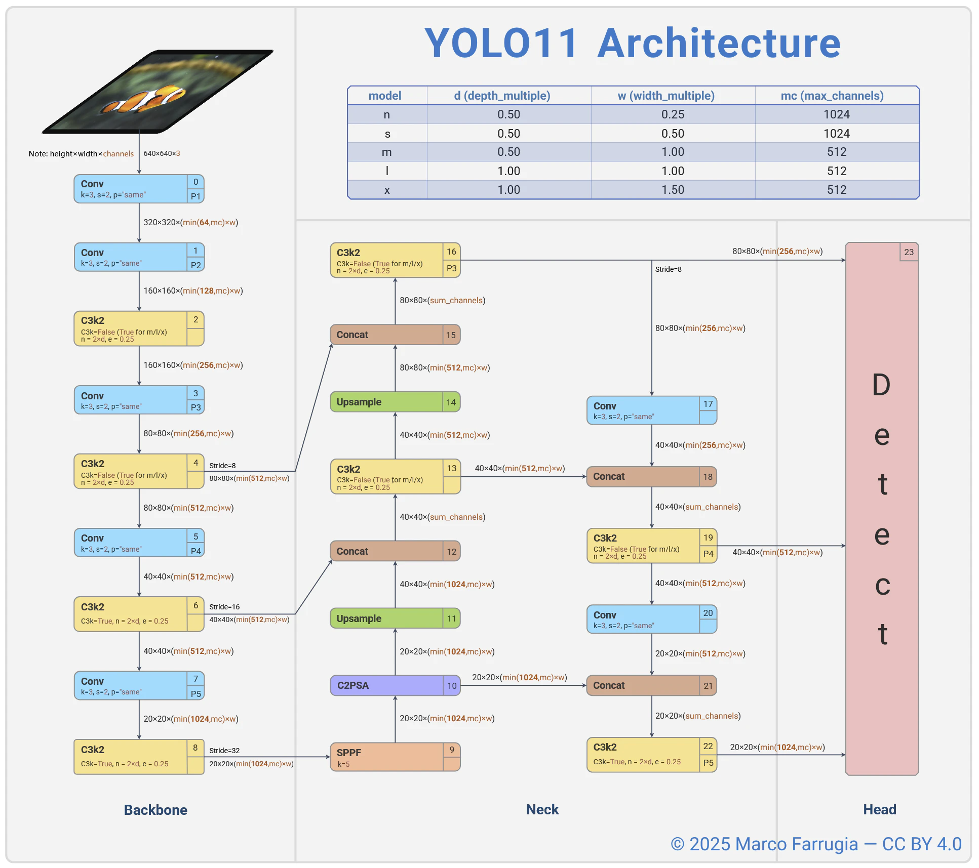 YOLO11 Architecture diagram
