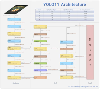 Using Ultralytics YOLO with Vision AI